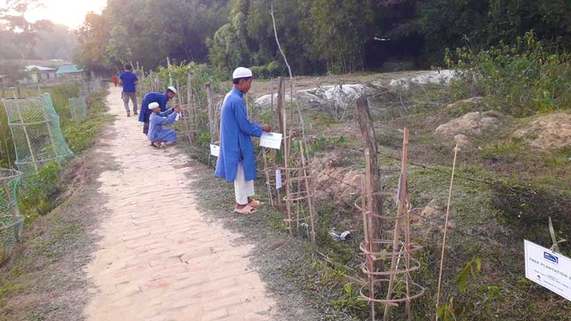 ACLAB Tree Plantation with APL Logistics