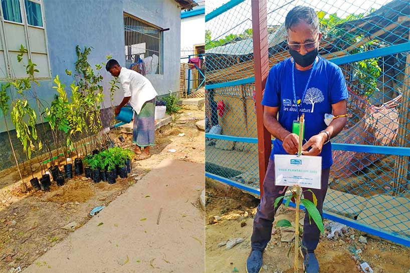ACLAB Tree Plantation with APL Logistics