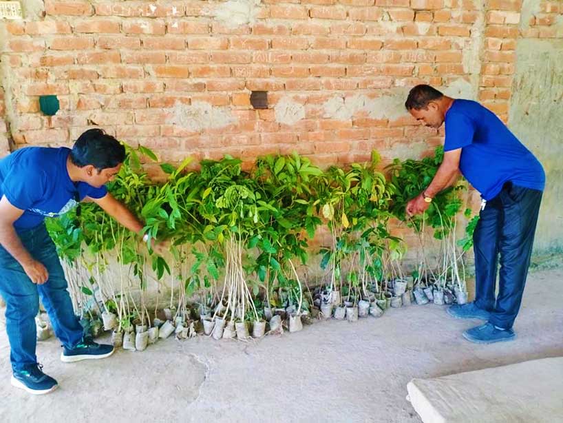 ACLAB Tree Plantation with APL Logistics
