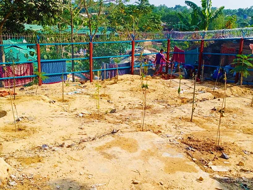 ACLAB Tree Plantation with APL Logistics
