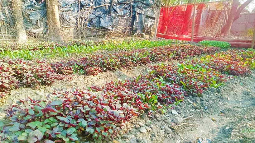 ACLAB initiatives to ensure the food and nutrition to the vulnerable community