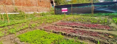 ACLAB initiatives to ensure the food and nutrition to the vulnerable community