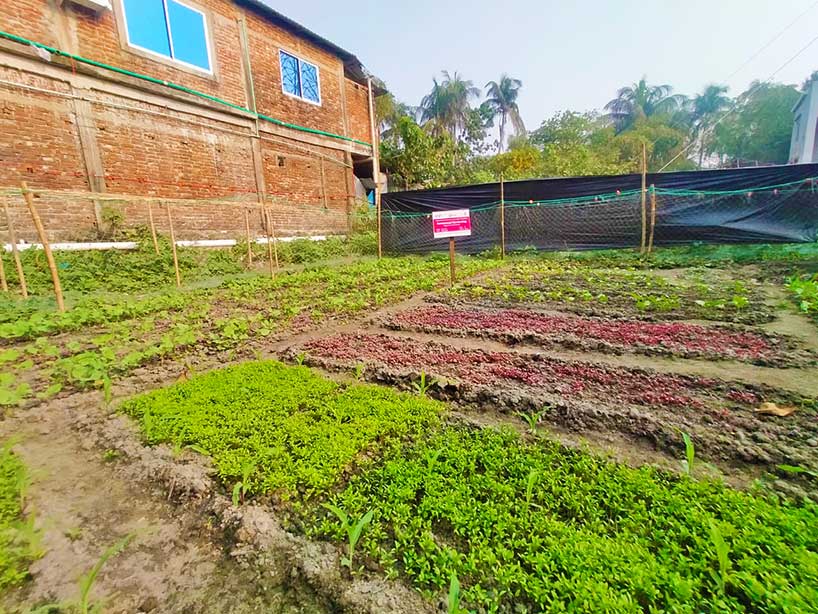 ACLAB initiatives to ensure the food and nutrition to the vulnerable community