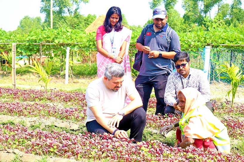 TIKA Agriculture and Livestock Project at Bhasanchar