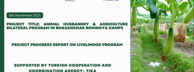 Green Minimalist Professional Business Proposal