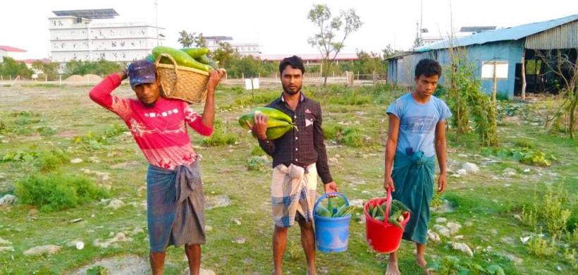 Sustainable Agriculture and Livestock Program at Bhasan Char.