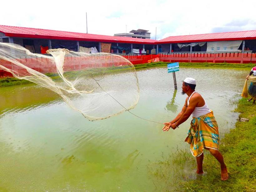 Fish Culture Program at Bhasan Char.