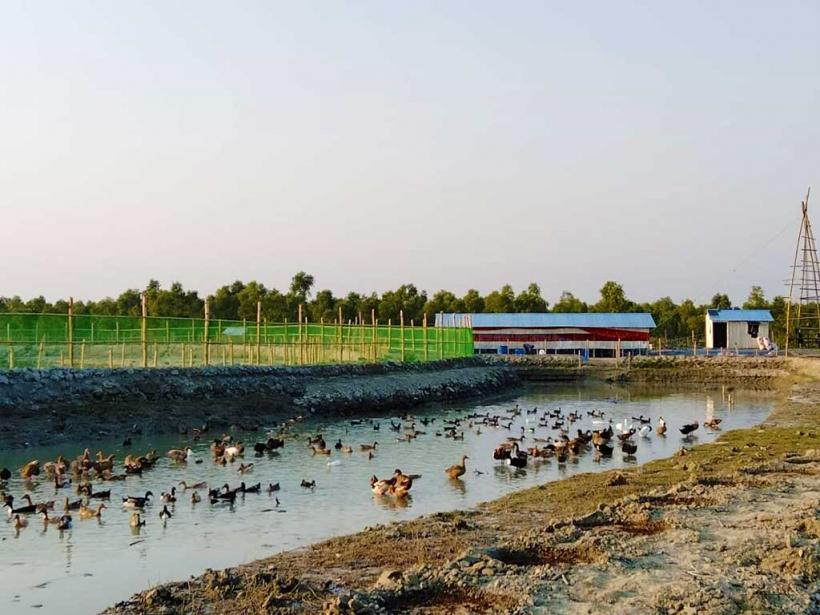 Agro Farming, Fish Culture Program at Bhasan Char.