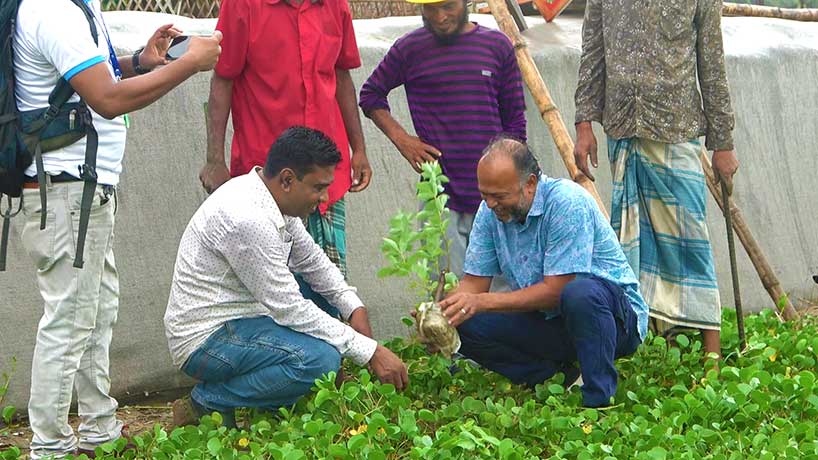 Cox’s Bazar Coastal Protection Program