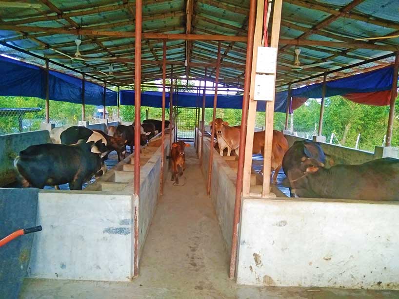 TIKA Agriculture and Livestock Project at Bhasanchar