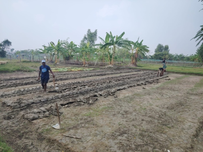 Agriculture and Livestock Activities under the Livelihood Program in Bhasanchar, FDMN Camp