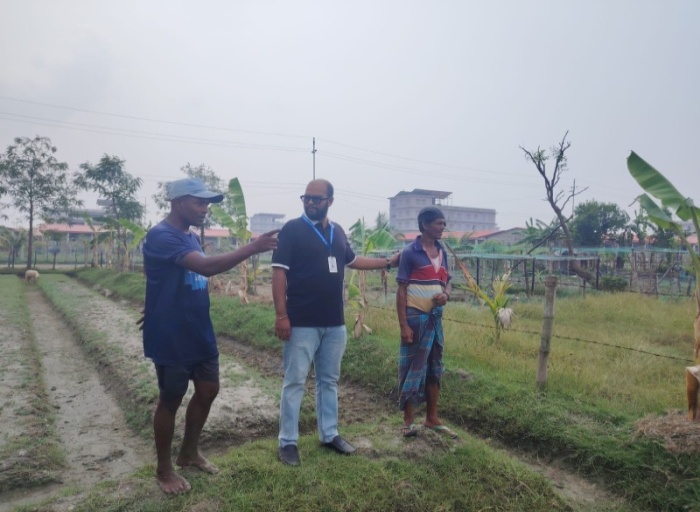 Agriculture and Livestock Activities under the Livelihood Program in Bhasanchar, FDMN Camp