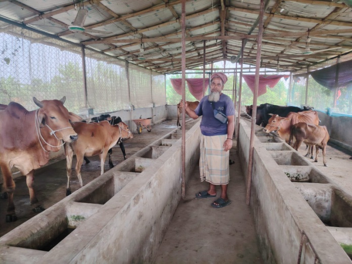 Agriculture and Livestock Activities under the Livelihood Program in Bhasanchar, FDMN Camp